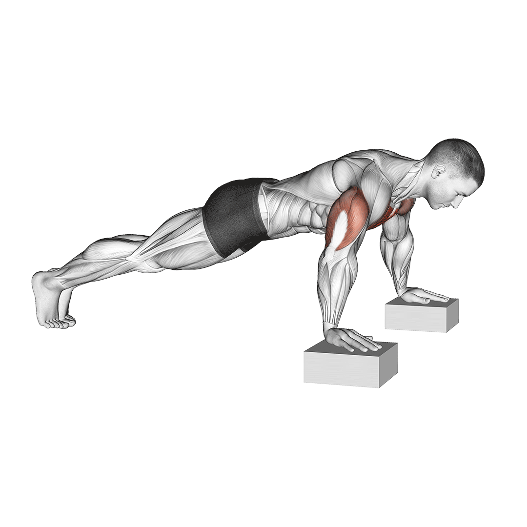 deficit push ups