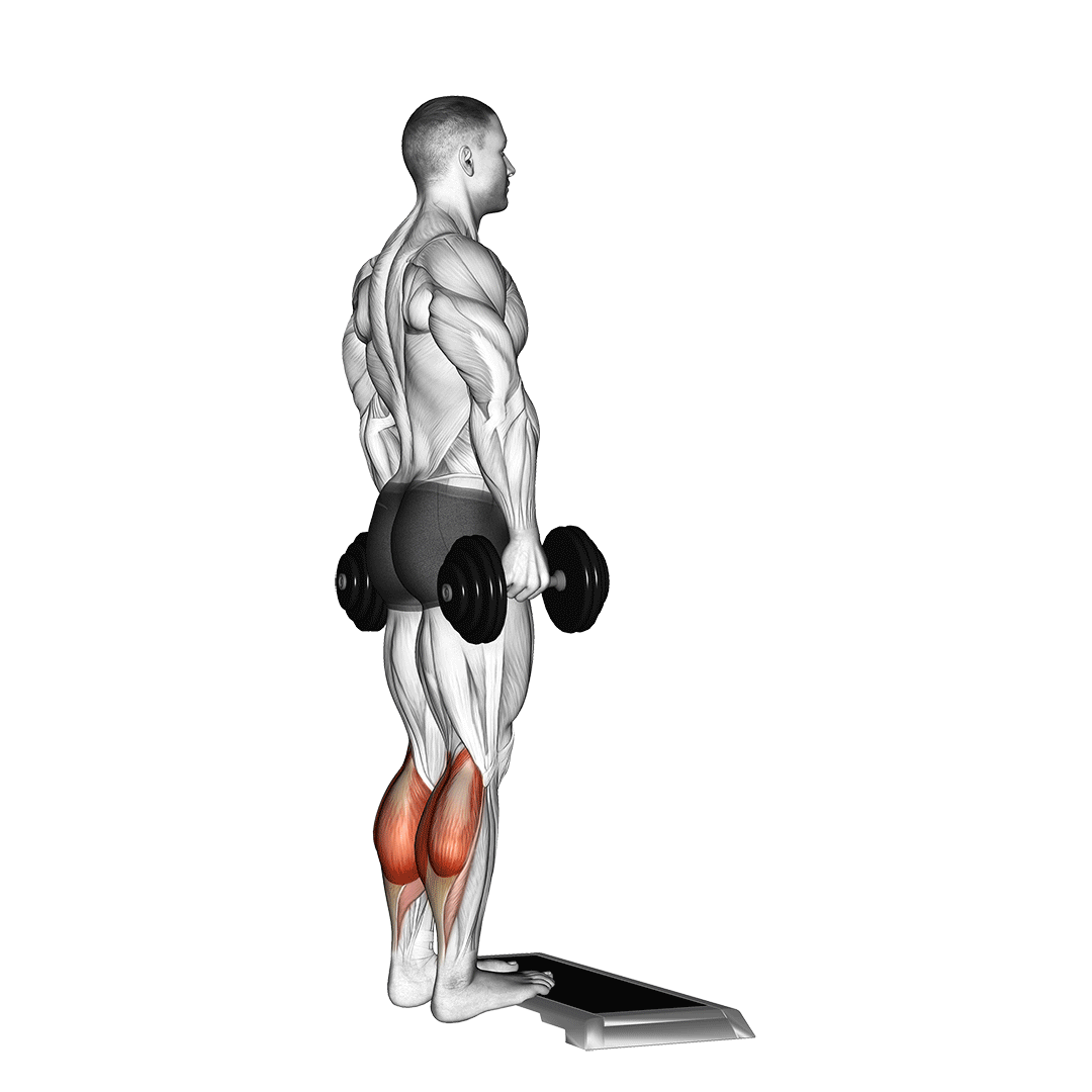 dumbbell calf raise