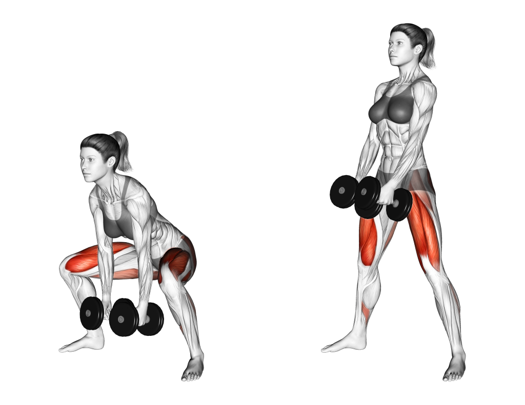 dumbbell sumo deadlift muscles