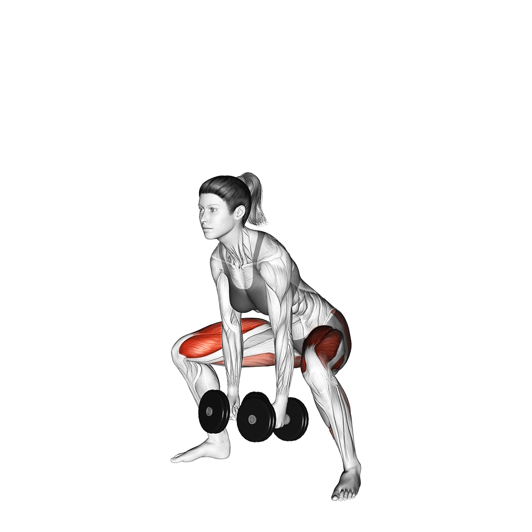 dumbbell sumo deadlift