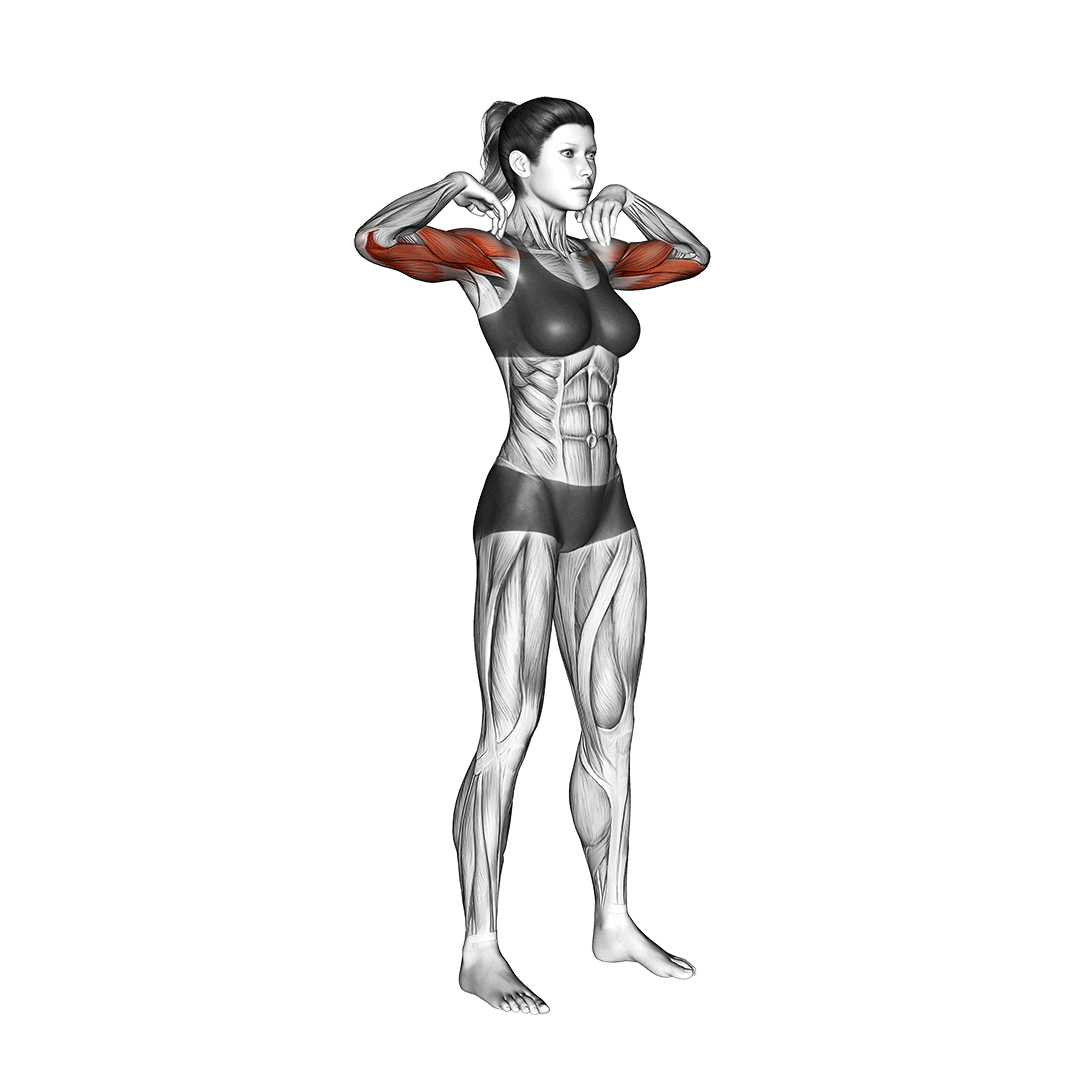 elbow circles