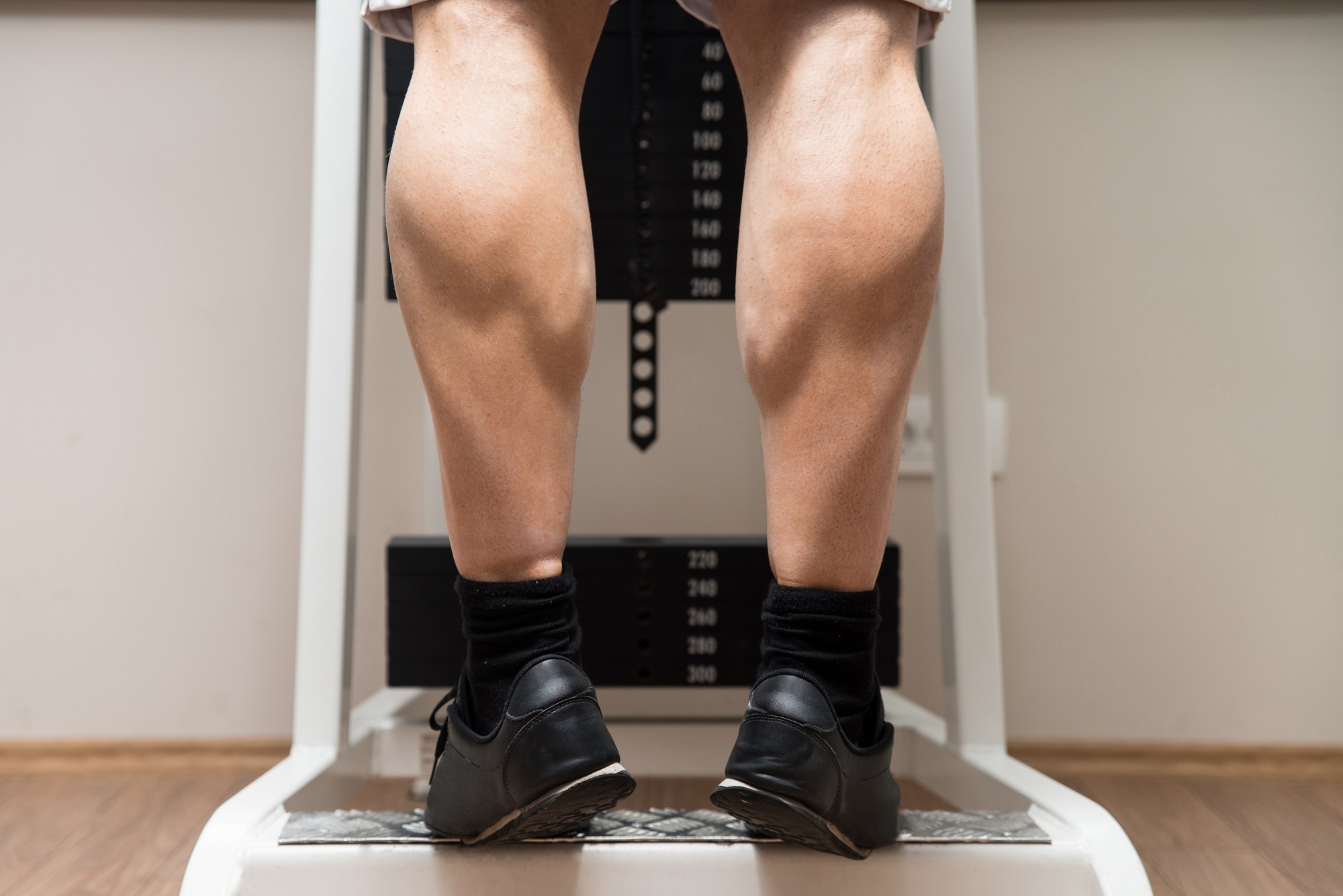 muscular calves