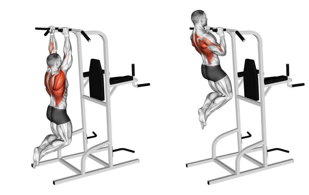 neutral grip pull up muscles