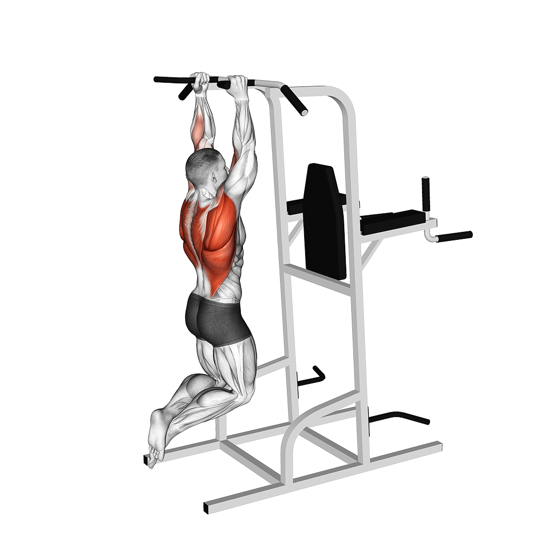 neutral grip pull ups shoulder width
