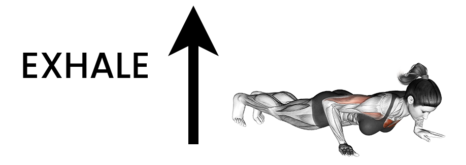 push up breathing exhale