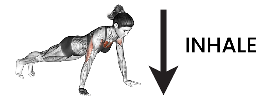 push up breathing inhale
