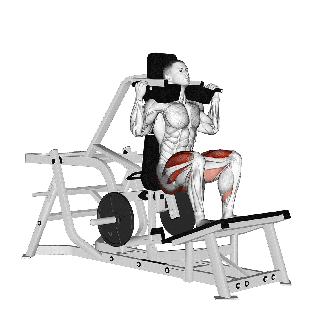v squat