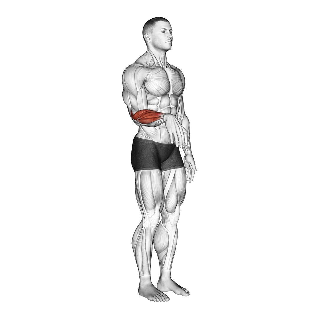 wrist extension