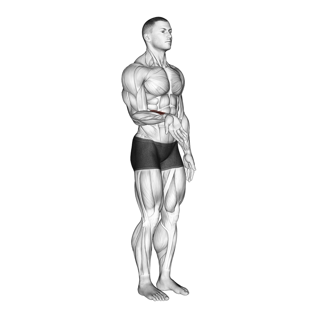wrist flexion