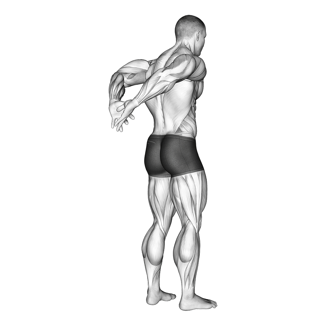 behind the back biceps stretches