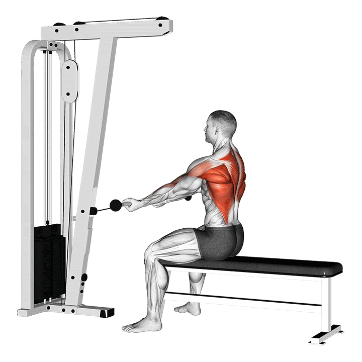 cable underhand row