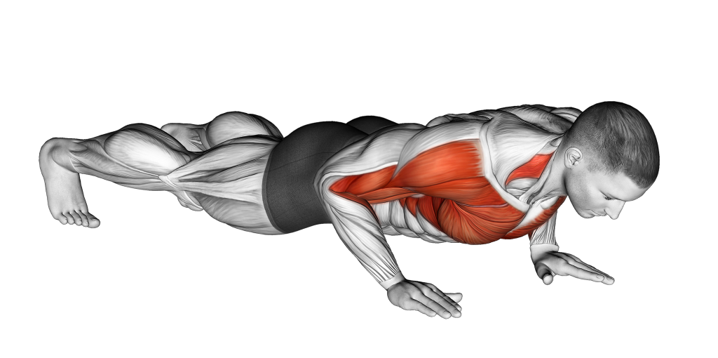 clapping push up starting position