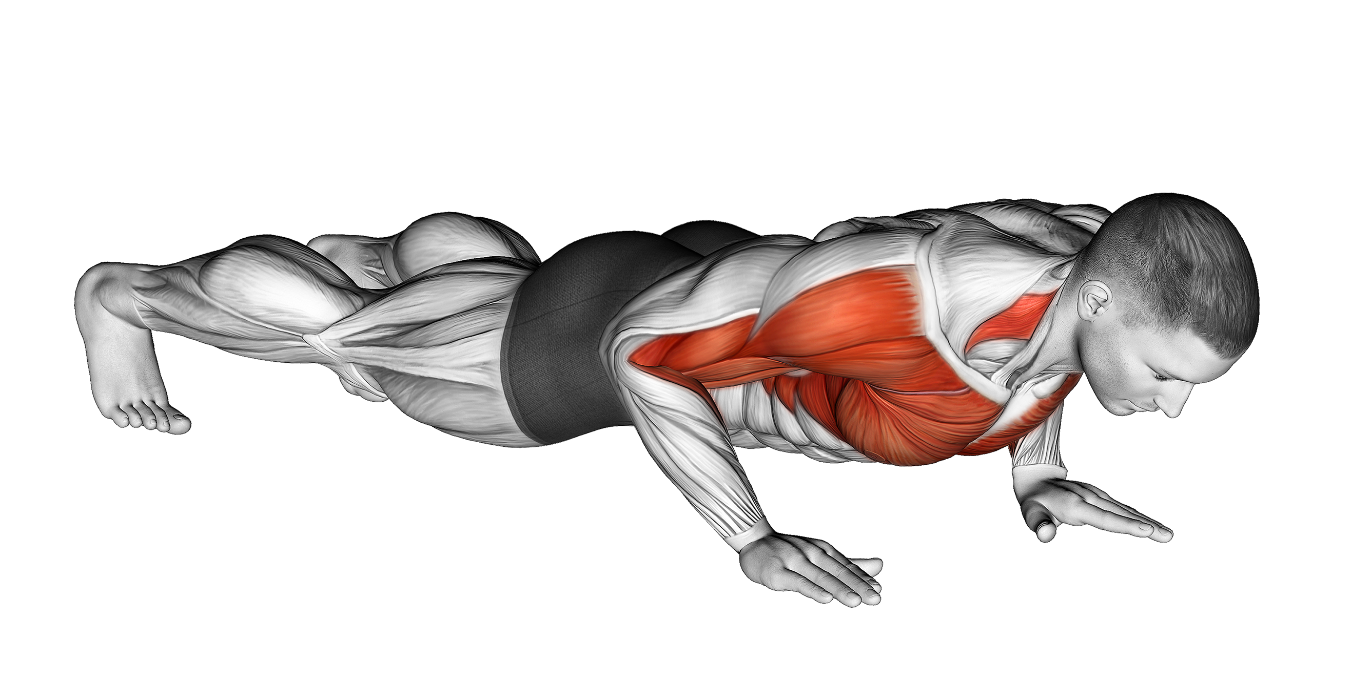 Clapping Position Clapping Push Up: Benefits, Muscles Worked, and More - Inspire US