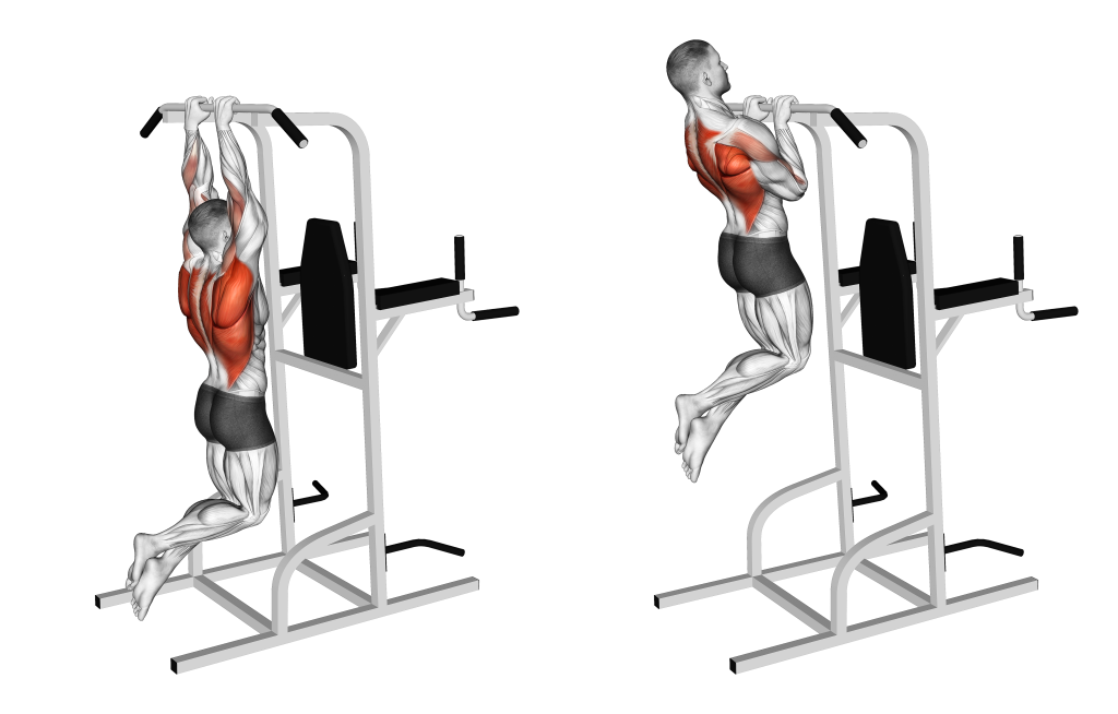 close grip pull up muscles