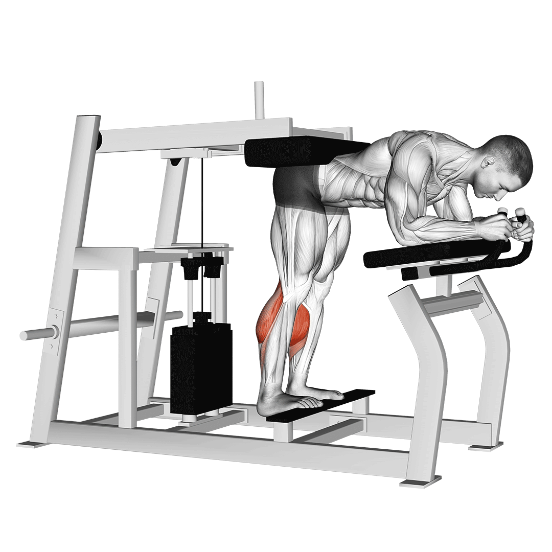donkey calf raise machine