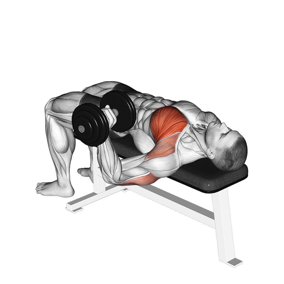 dumbbell one arm chest press