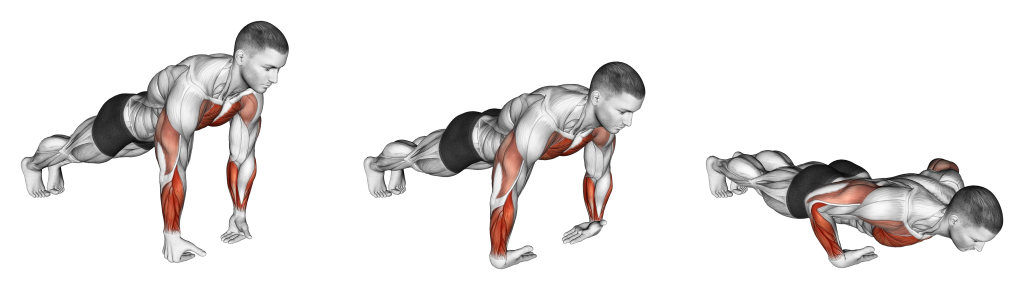 full wrist push up muscles