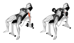 Incline Dumbbell Curl: Benefits, Muscles Worked, and More - Inspire US