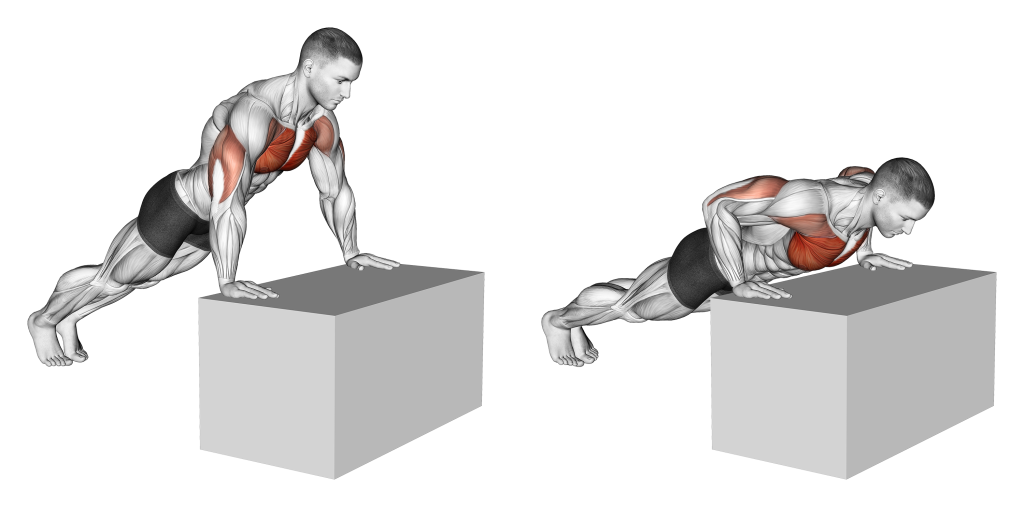 incline push up muscles