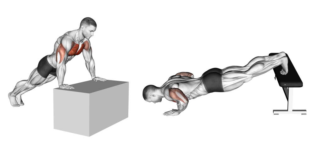 incline vs decline push up