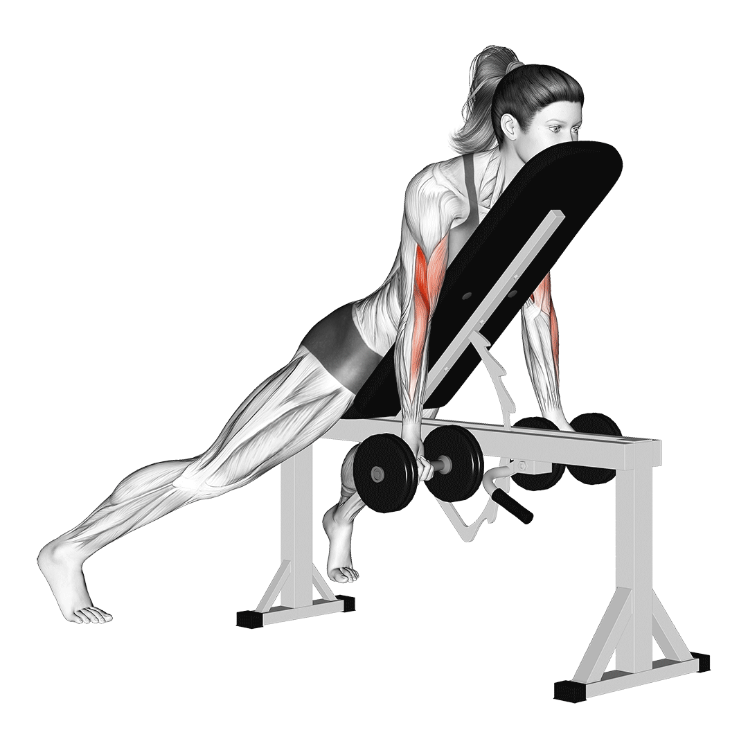 prone incline dumbbell curl