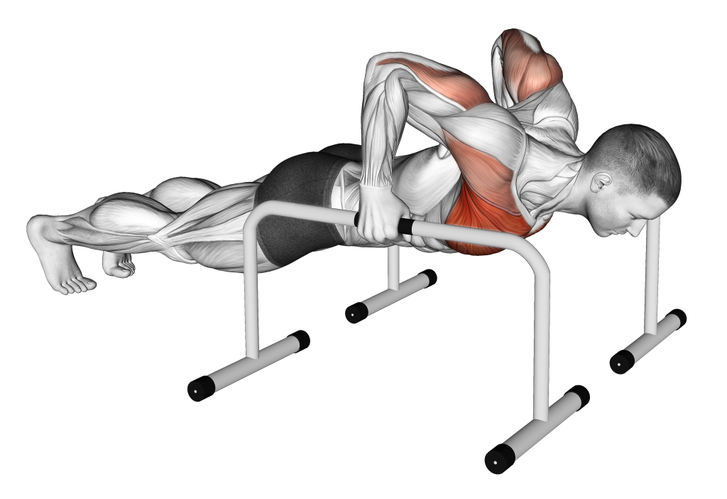 push up bars 2nd position