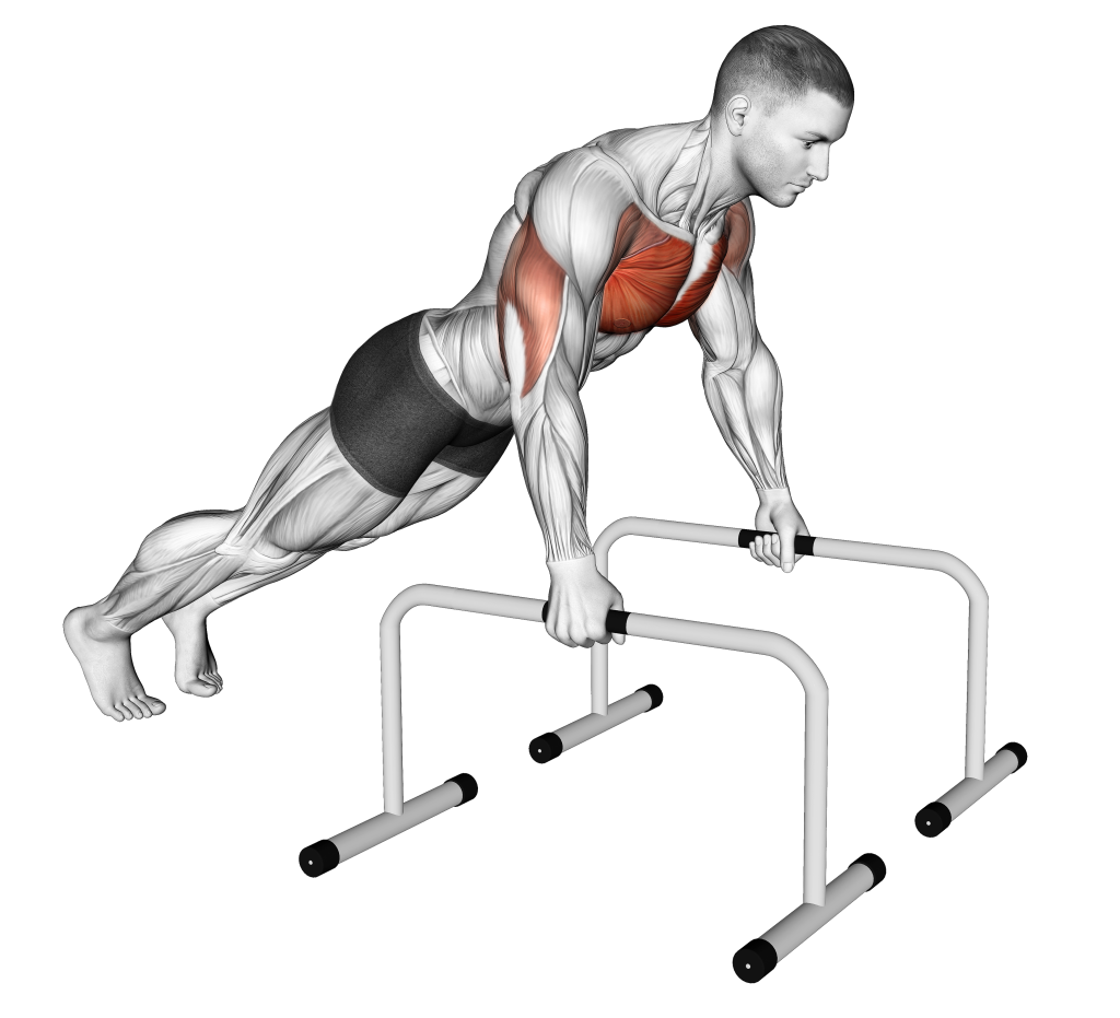 push up bars starting position