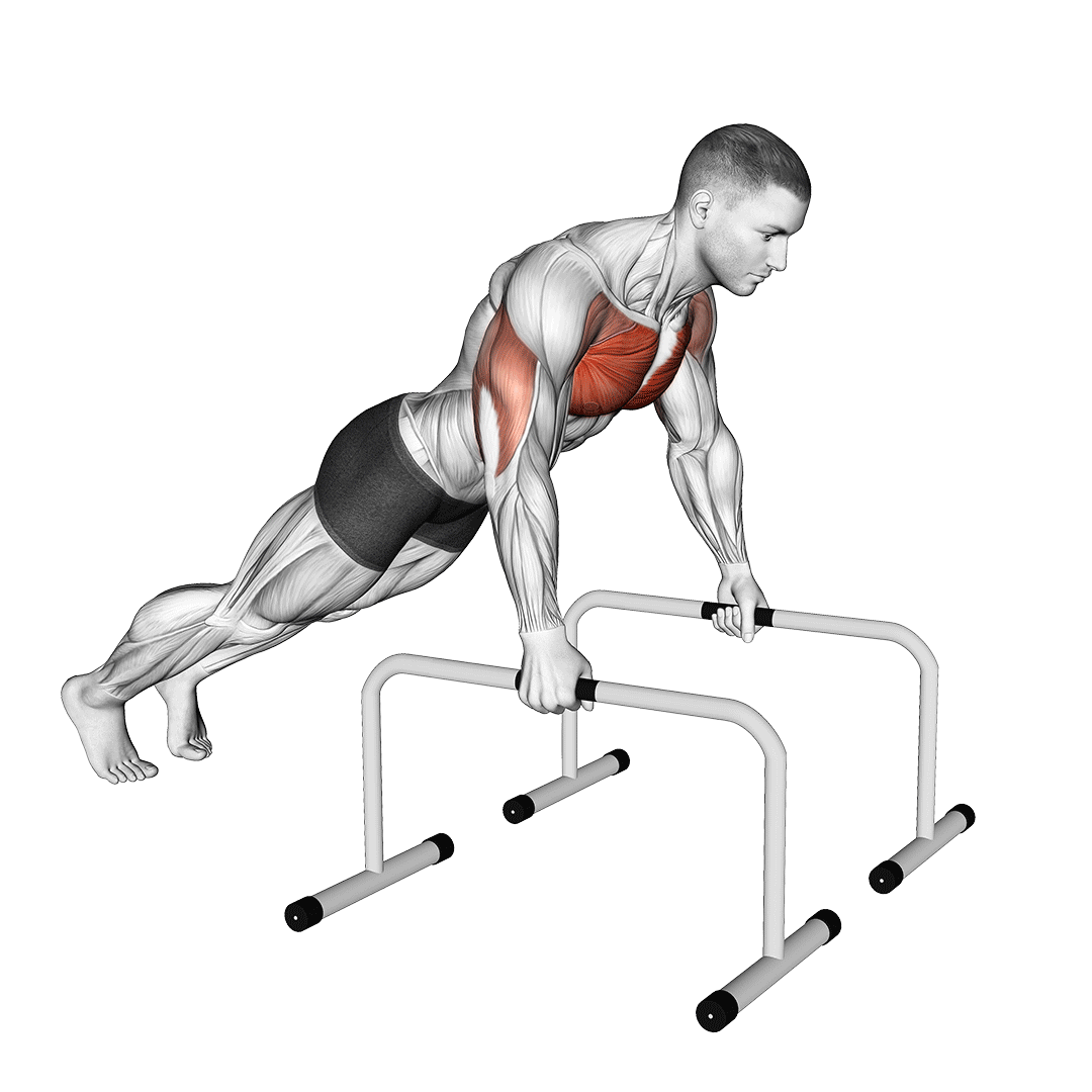push up bars