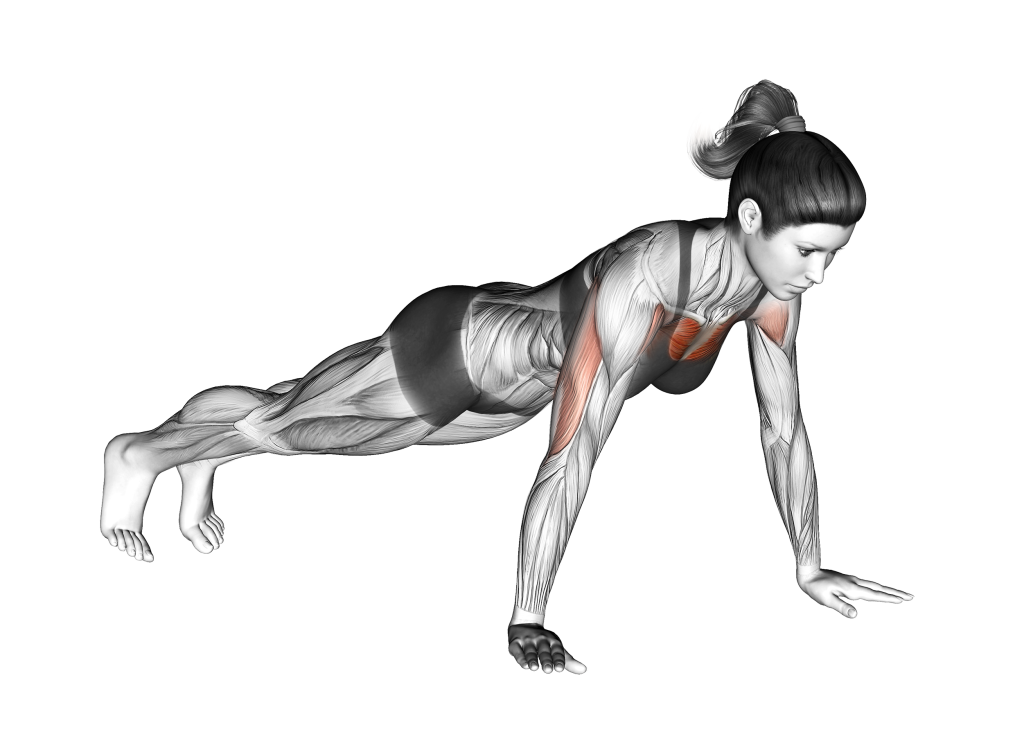 push up starting position