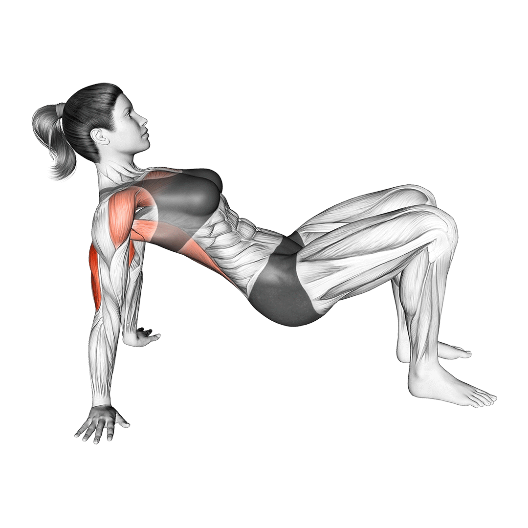 reverse facing push ups