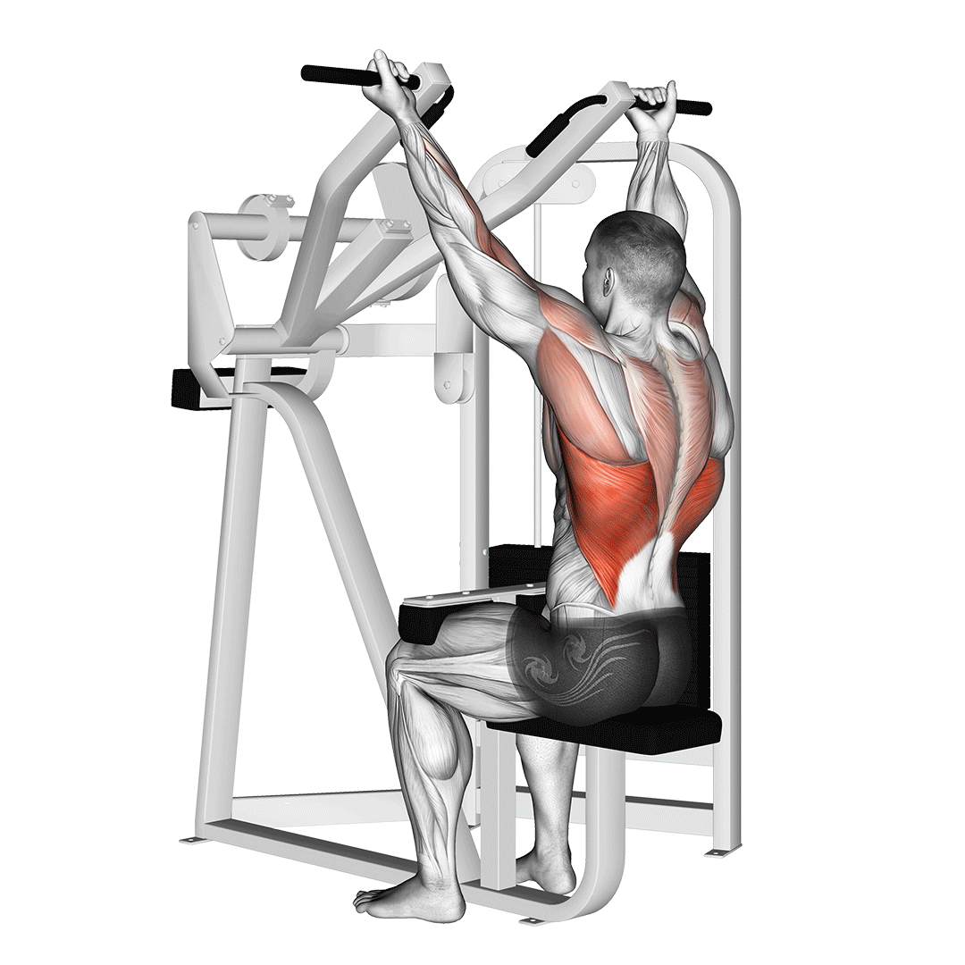 reverse grip lat pulldown
