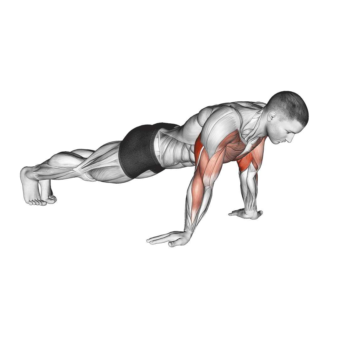 reverse grip push ups