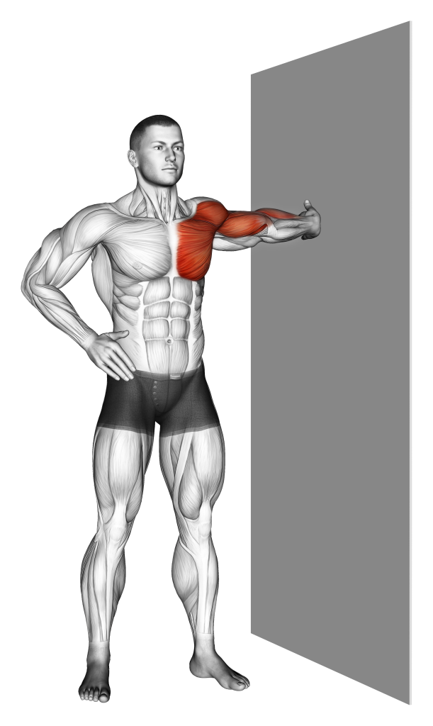 standing wall biceps stretch