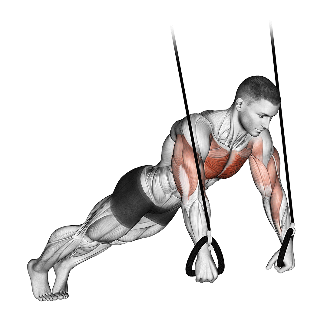 suspended push ups