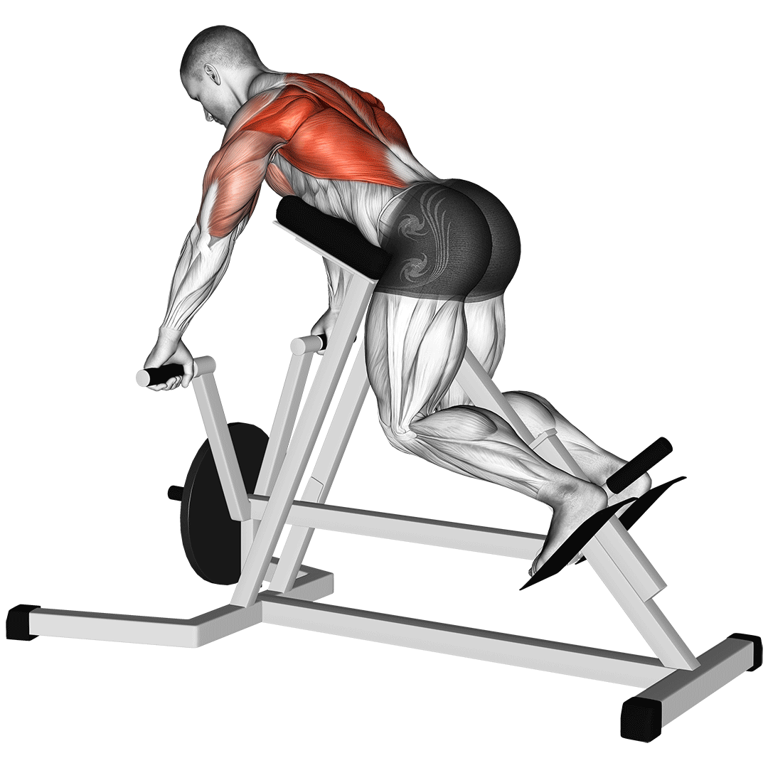 t-bar row machine