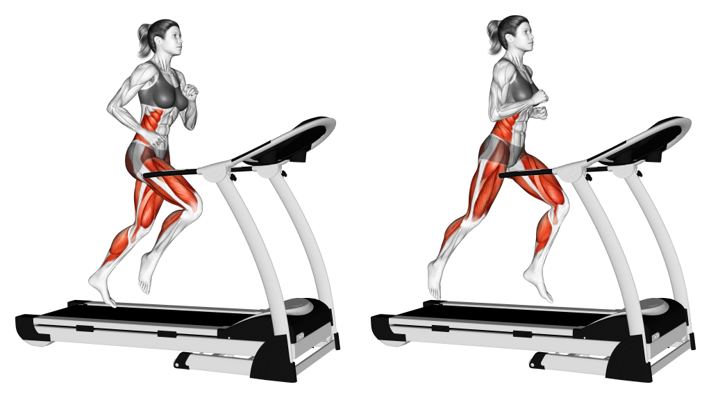 treadmill run muscle