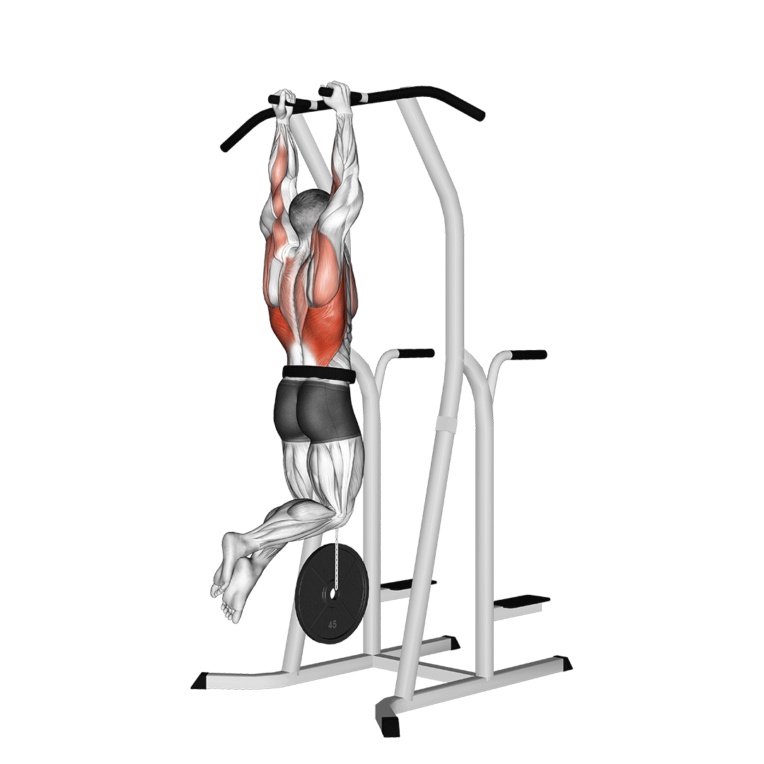 weighted neutral grip pull up