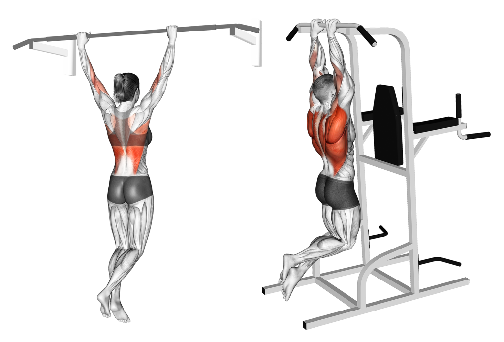 wide grip and close grip pull ups