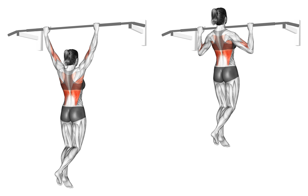 wide grip pull up muscles