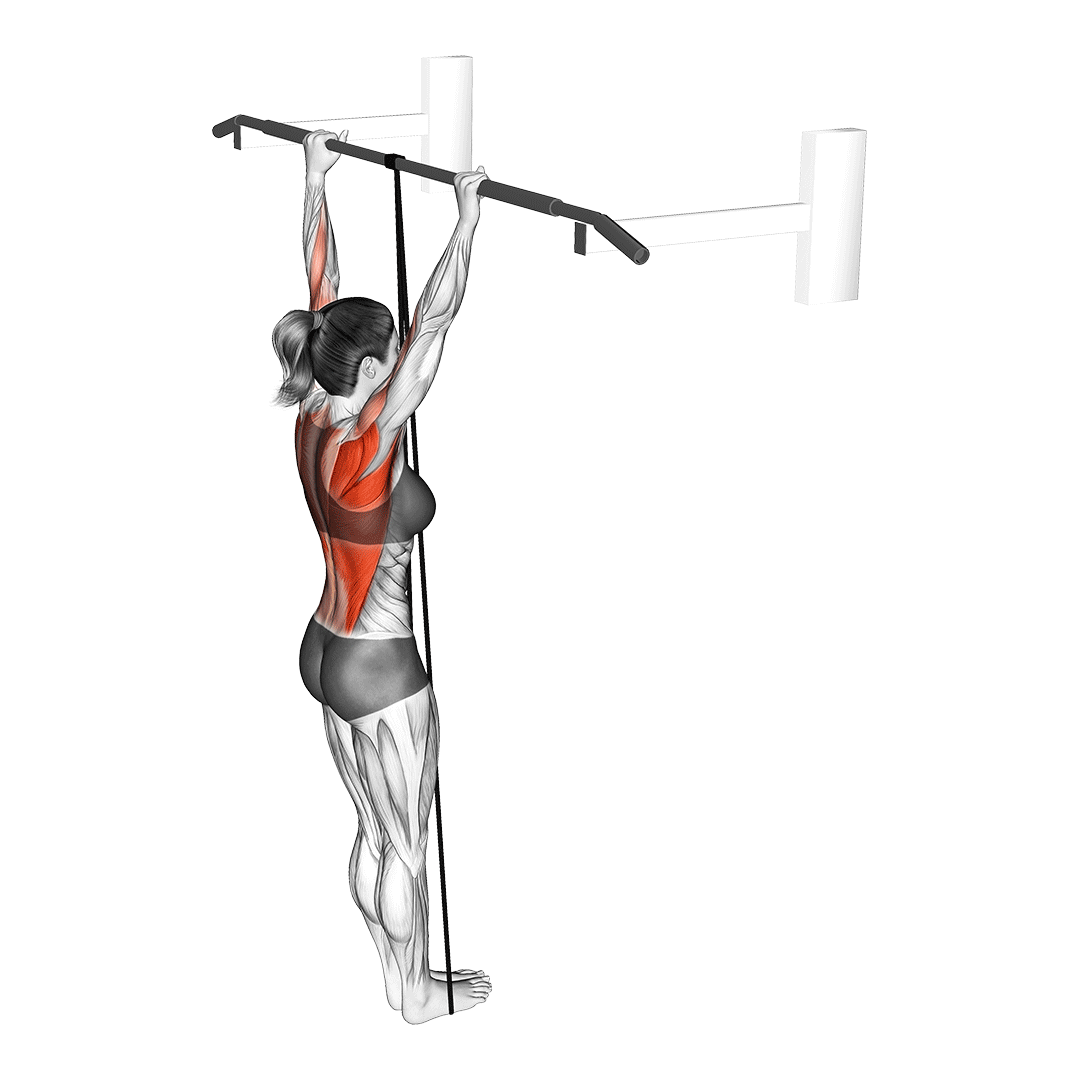 band assisted pull up