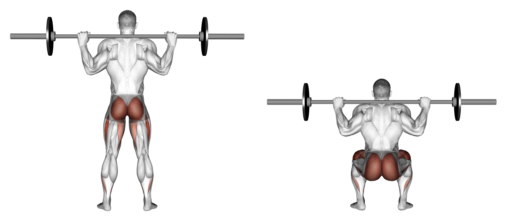 barbell squat back view