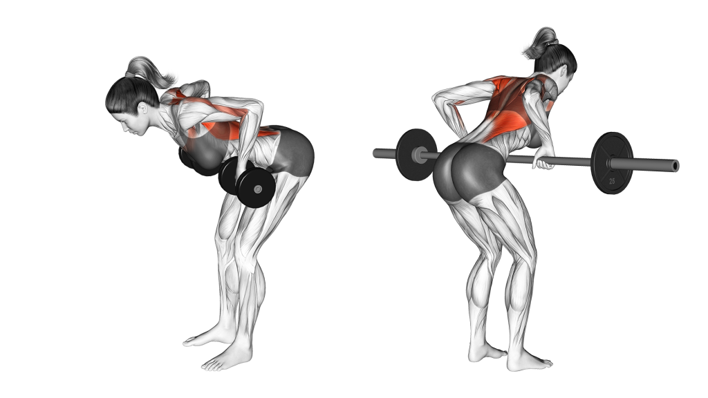 barbell vs dumbbell row