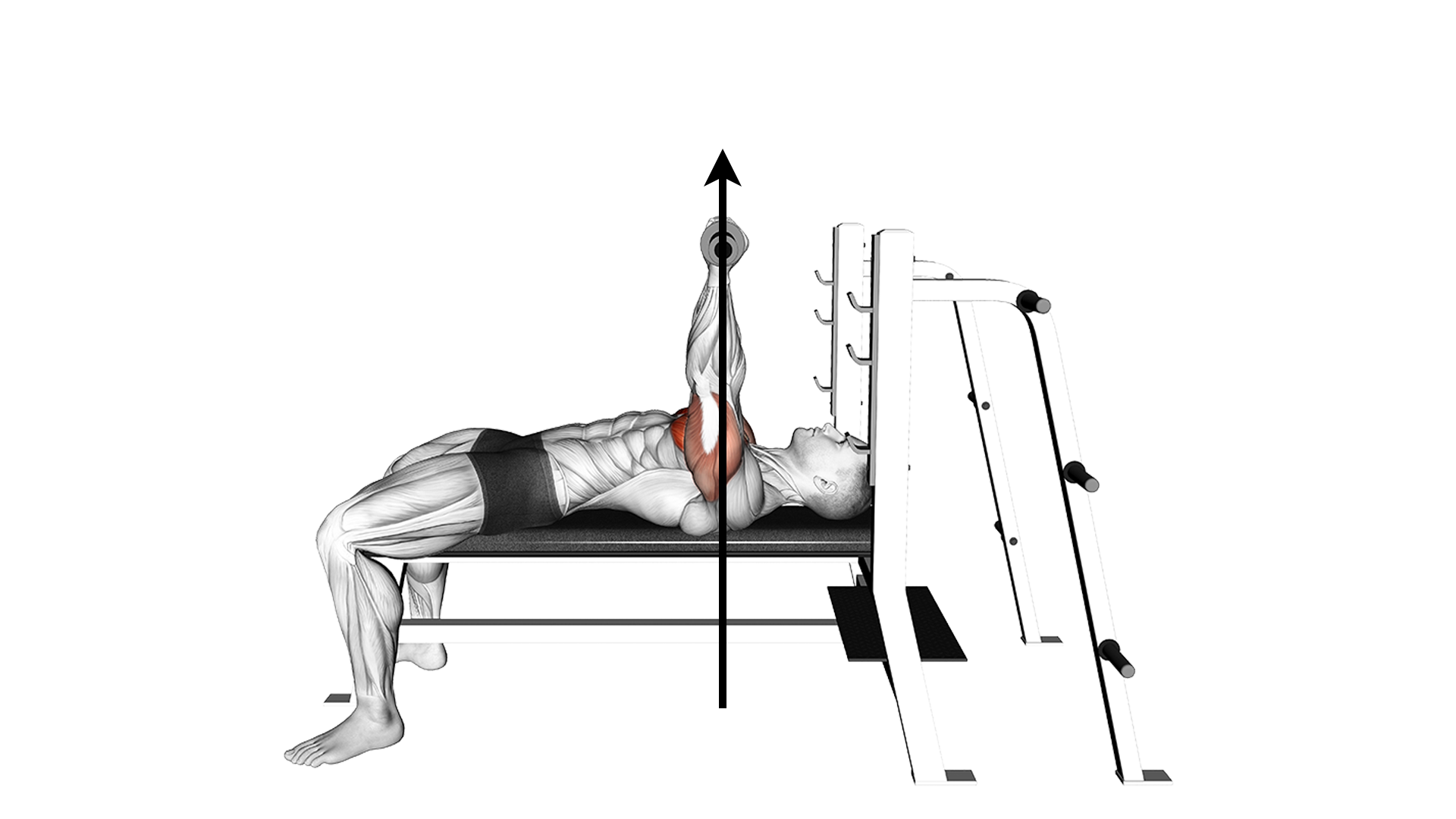 bench press for translation through the wrist