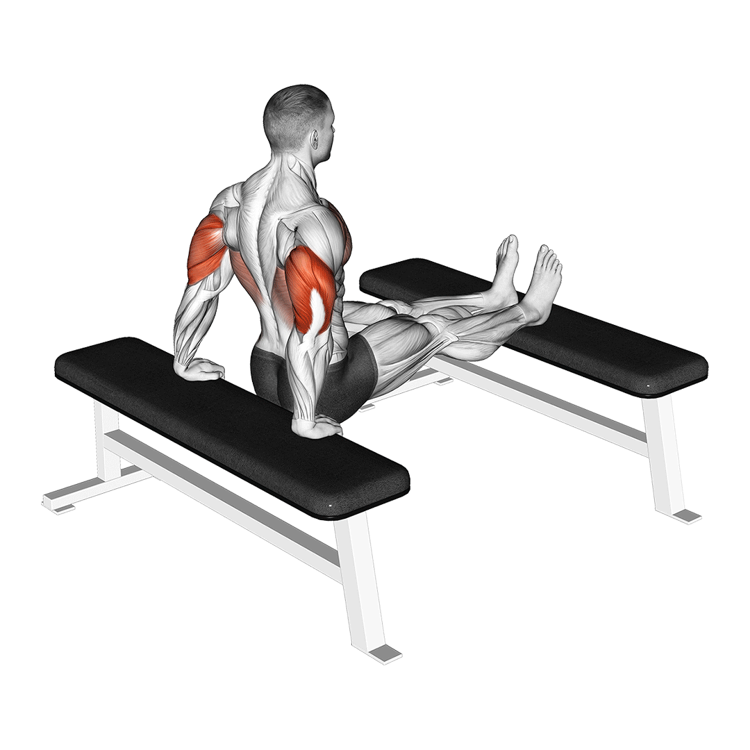 bench tricep dips