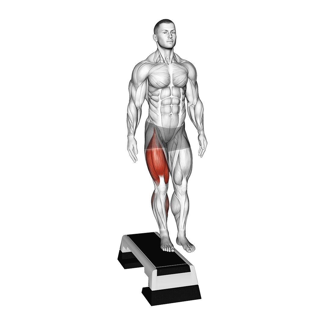 lateral step up muscles