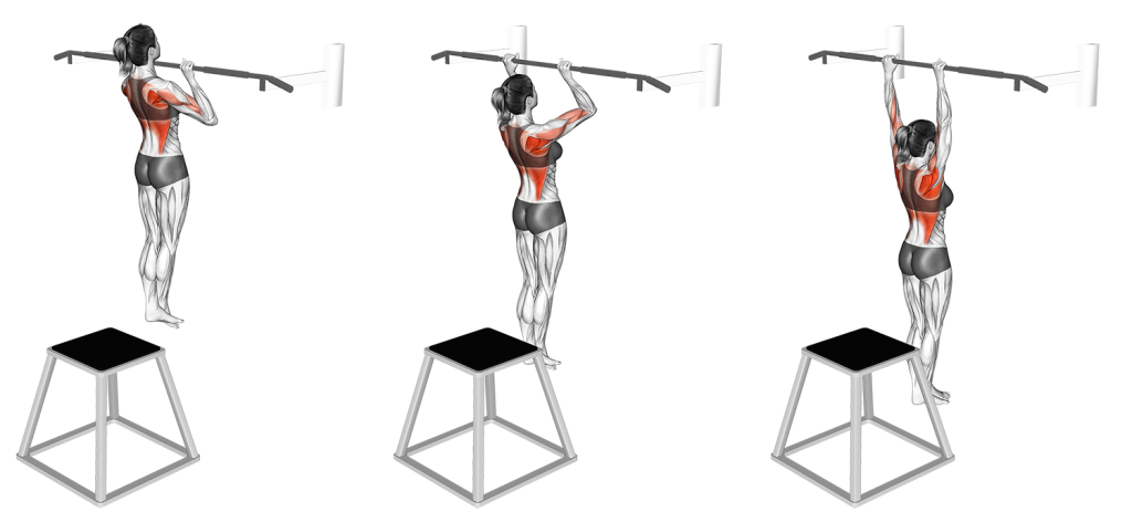 negative pull up muscles