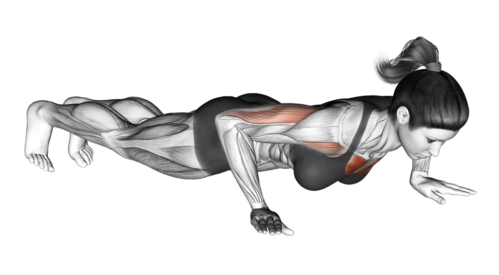 push up ending position