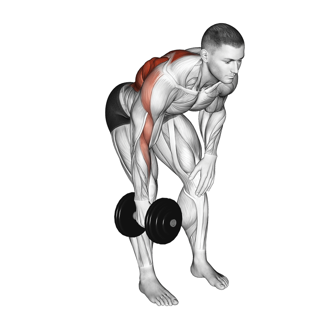 single arm bent over row