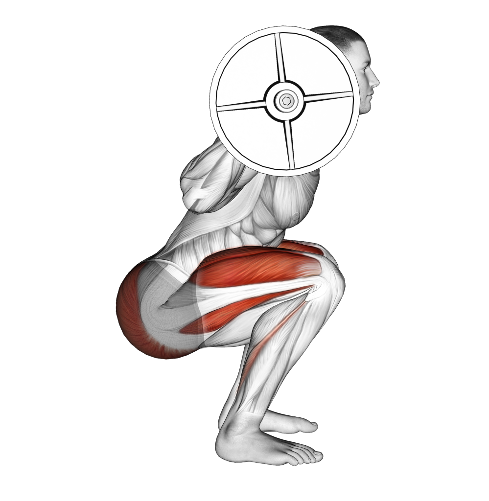 squat knees over toes