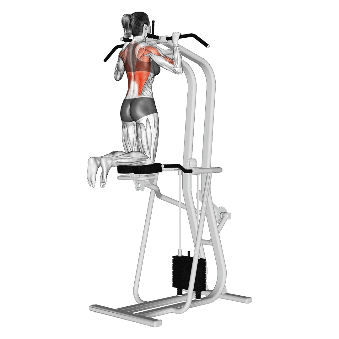 assisted pull up machine